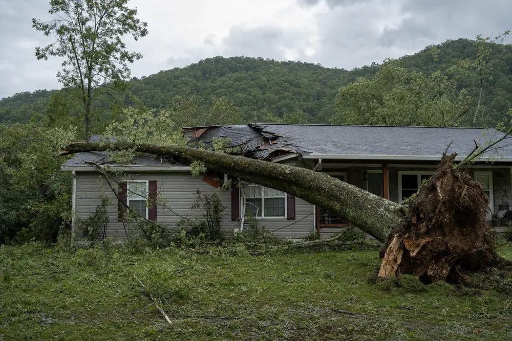Uprooted hardwood tree fallen across the roof of a one-story home after a storm in East Tennessee